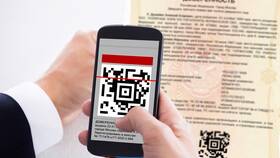 Чем занимается регистратор юридических лиц в Интимиссими
