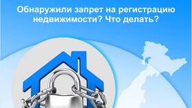 Что означает запрет на регистрационные действия с автомобилем в Интимиссими