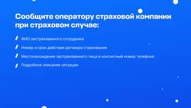 Что такое номер страхового полиса
