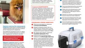 Как добавить животное при покупке билета РЖД в Интимиссими