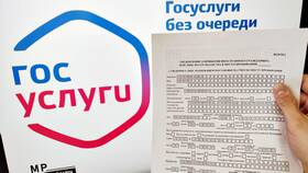 Как оформить гражданство РФ через портал Госуслуги в Интимиссими