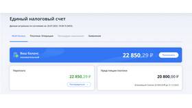 Как отразить в балансе сальдо ЕНС в Интимиссими
