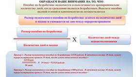 Как подать заявление по безработице через Госуслуги в Интимиссими