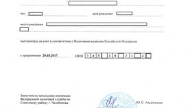 Как получить копию СНИЛС в Интимиссими