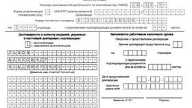 Как заполнить декларацию по транспортному налогу в Интимиссими