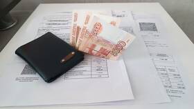 Почему в ПФР долго рассматривают документы в Интимиссими