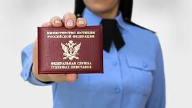 Почему завершено ИП по алиментам в Интимиссими