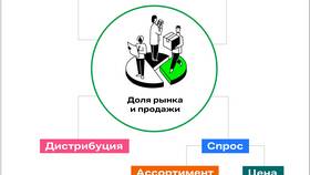 Проценты: почему за основу взято 100 в Интимиссими