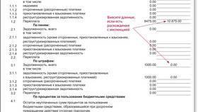 Сальдо в акте сверки: что это в Интимиссими